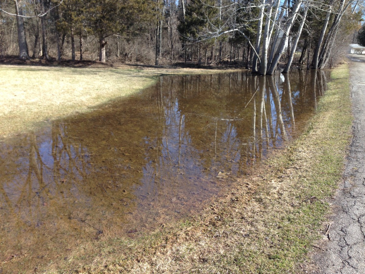 Water is pooling in a typical spring fashion around the lake.  But there has been no evidence of unusually high water that could be expected after a winter with heavy snow and ice.