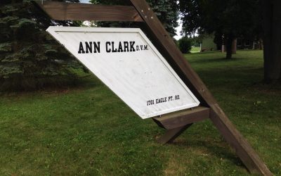 Ann Nichols Clark • 1934-2014