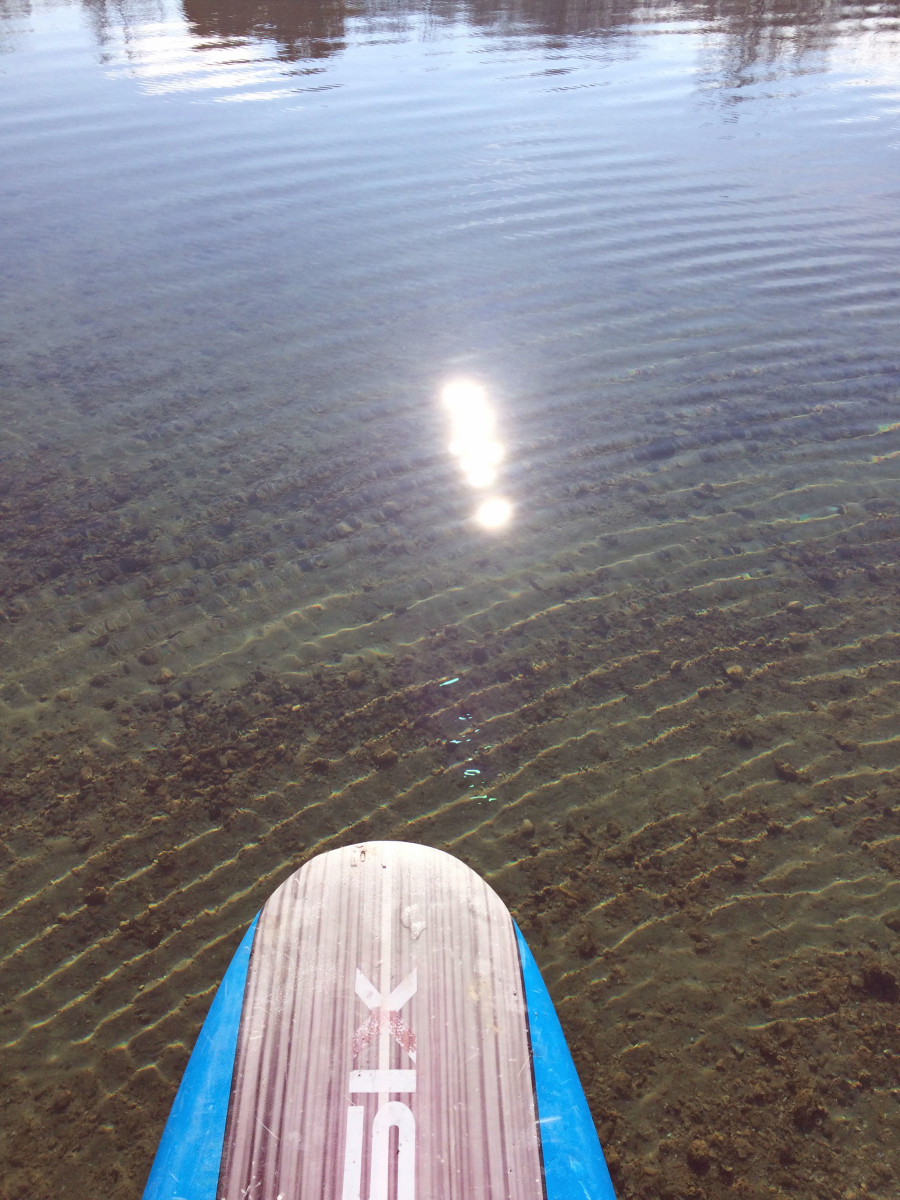 paddle board SL 2015 11-24