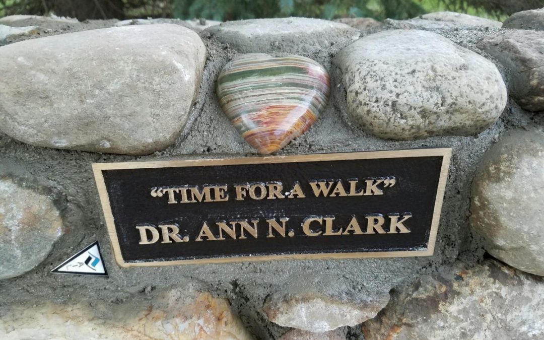 Ann Clark • 1934 – 2014