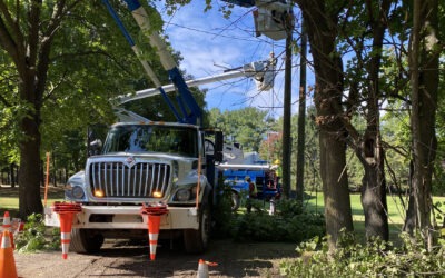 Consumers Energy Work on Hayes Drive