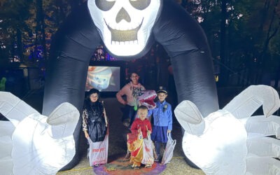 Haunted Woods Preview